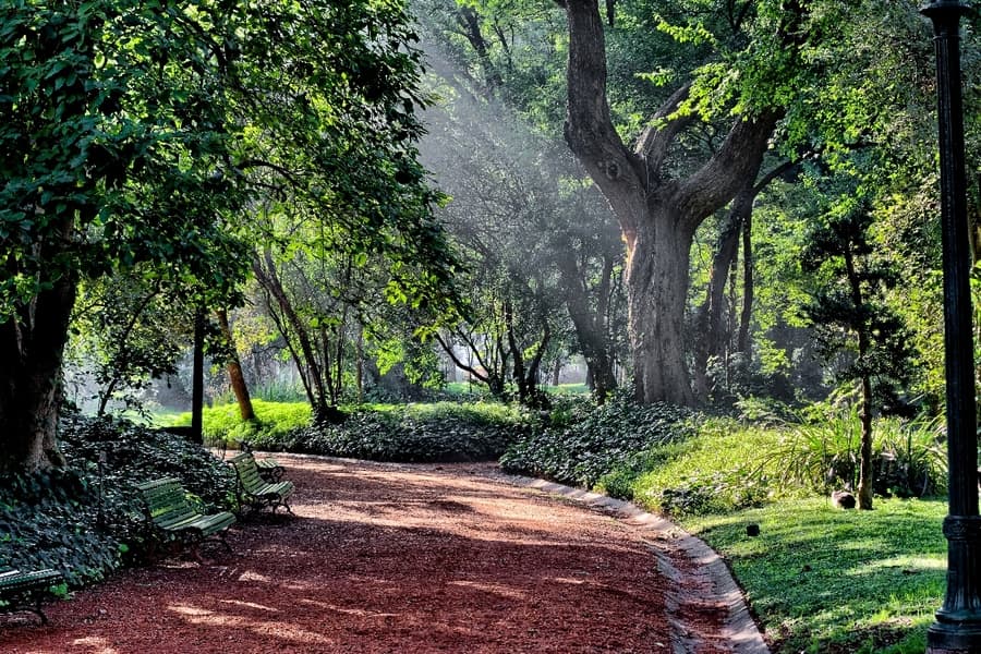 botanico-2